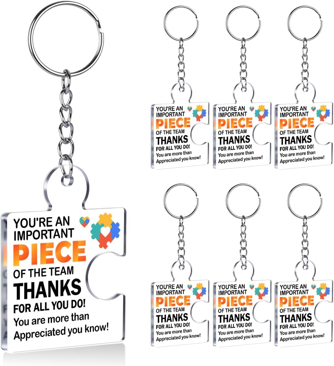 Team Appreciation Gifts Bulk Thank You Keychains for Coworkers