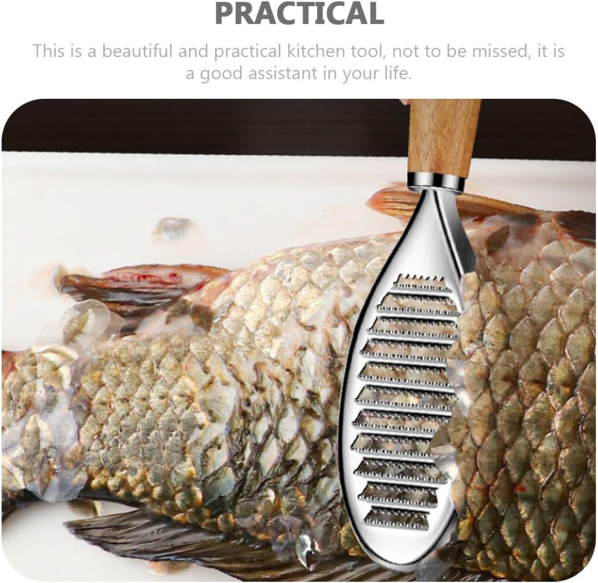 UPKOCH Stainless Steel Scraper Tool Efficient Fish Peeler for Home Restaurant Use Easy to Clean