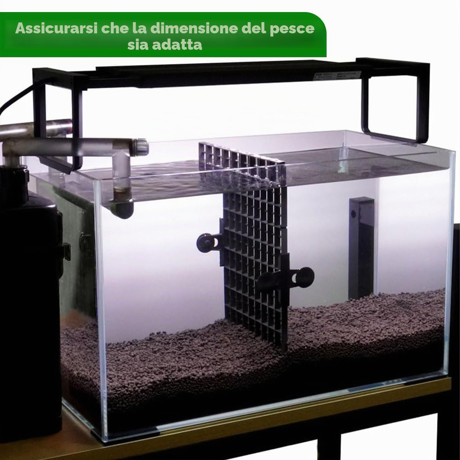 LINLAN 12Pcs 30 x 30 cm(11.8x11.8in) Griglia per Acquario in plastica, divisore per Acquario, per filtrare e Proteggere Il Fondo Fai da Te
