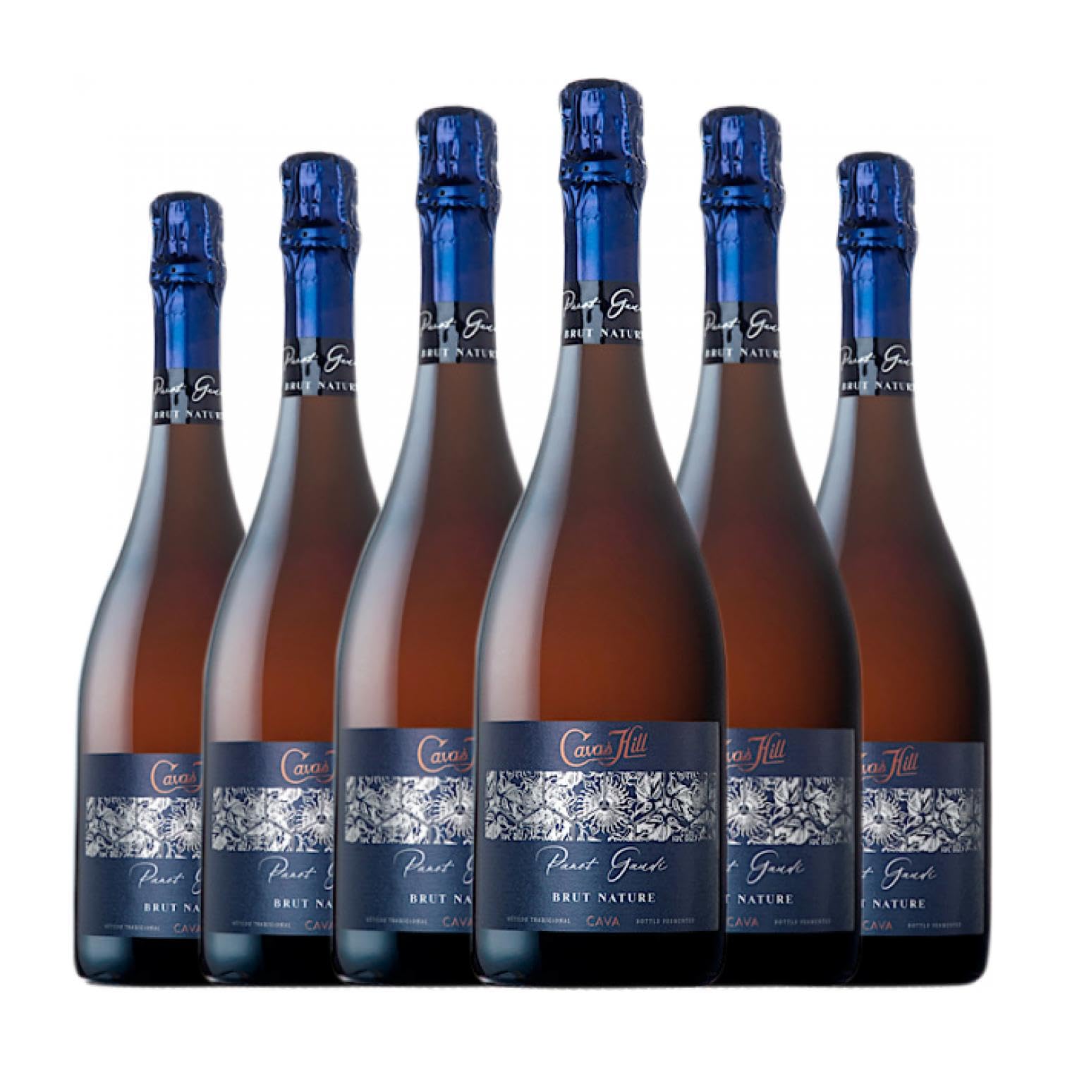 Hill Panot Gaudí Brut Nature Cava 75 cl Espumoso blanco (Caja de 6 Botellas de 75 cl)