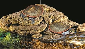 Amazon | エキゾテラ GEX EXOTERRA タートルバンク S PT3800