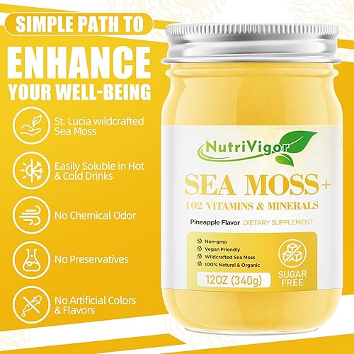 Miniatura 6 de NutriVigor Gel de musgo marino, (12 onzas) de musgo marino orgánico avanzado, apoyo inmunológico y digestivo, suplementos de gel de masa marina