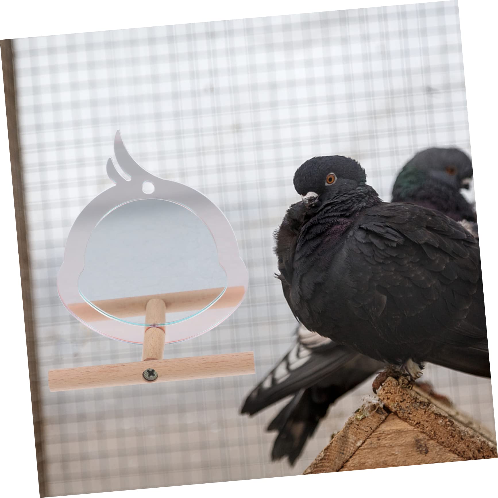 YARNOW 5piezas Perch para Aves Pequeñas Soporte Resistente para Periquitos y Juguete De Descanso y Ejercicio Diseño Chic Accesorio para Jaula De