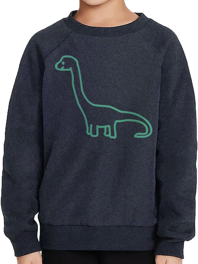 Little Dinosaurs Toddler Raglan Sweatshirt - Dinosaur Design Boy Gift - Dinosaur Design Apparel