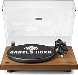 Record Player Vinyl Player, Upgraded 5.0 Bluetooth Turnta…