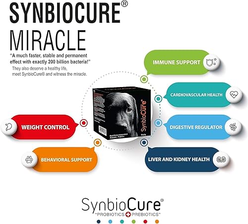 Miniatura 3 de I Probióticos y prebióticos para perros I Suplemento para perros en polvo I Apoyo para la salud digestiva I 200 mil millones de bacterias por