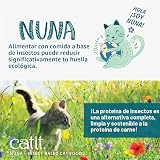 Ver la foto 2