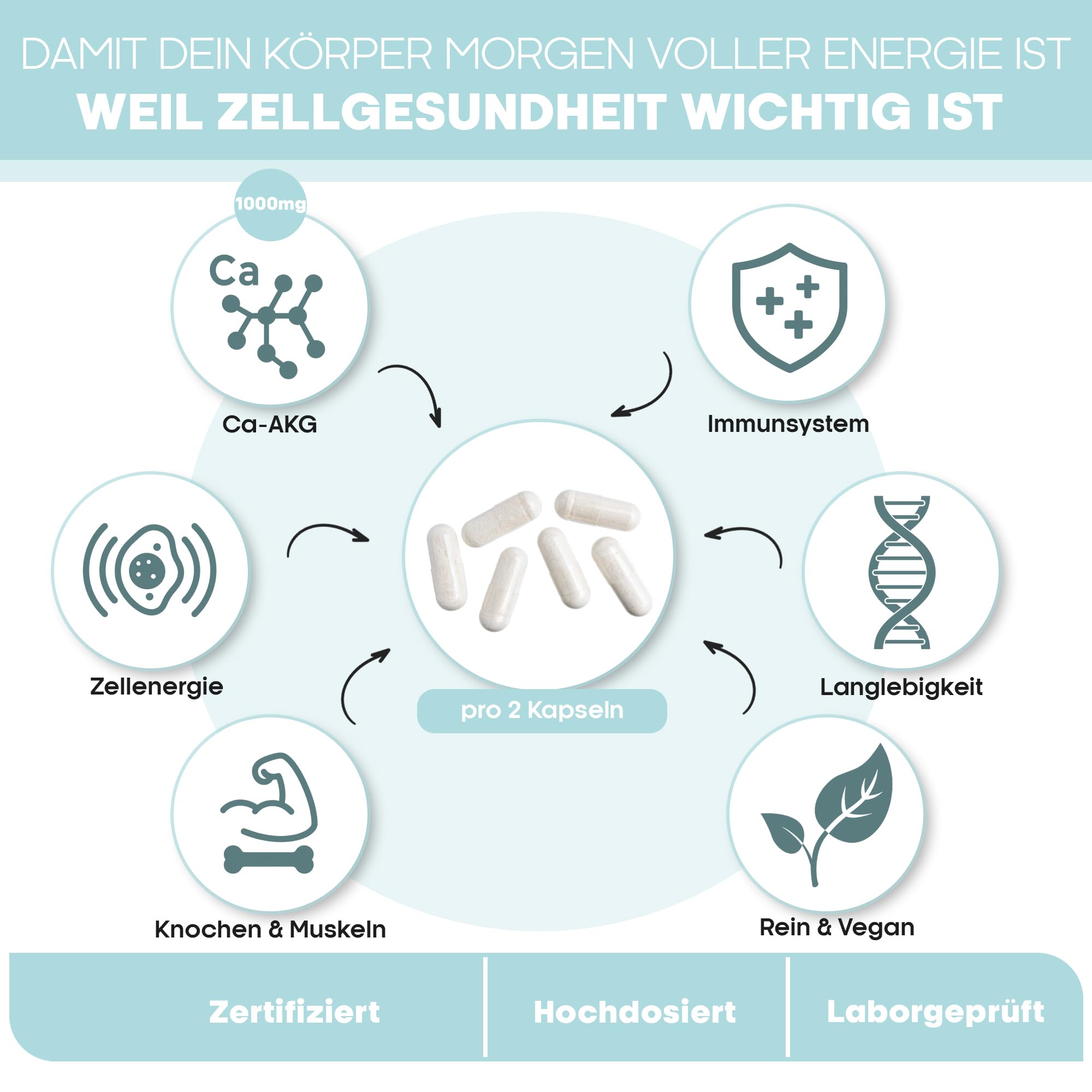 CaAKG | Calcium-Alphaketoglutarat | Laborgeprüft in DE | 60 Kapseln | hochdosiert | 1000 mg | CaAKG in bester Qualität ohne Zusatzstoffe