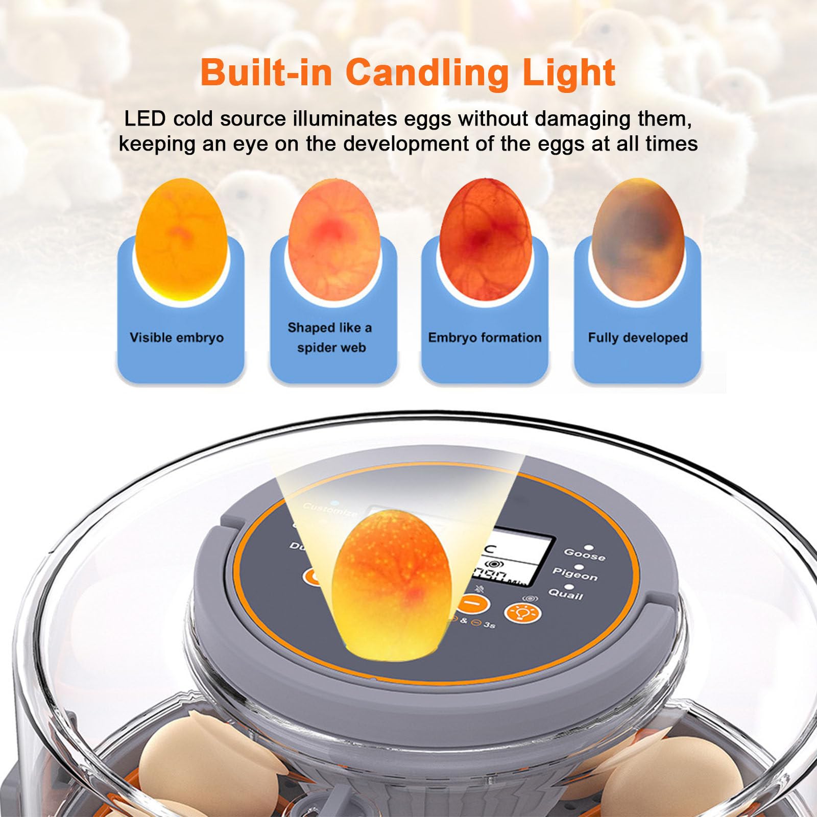 Incubadora de huevos para incubar huevos con control de temperatura, giro automático de huevos, visualización de humedad, vela de huevo para pollo, pato, ganso y codorniz