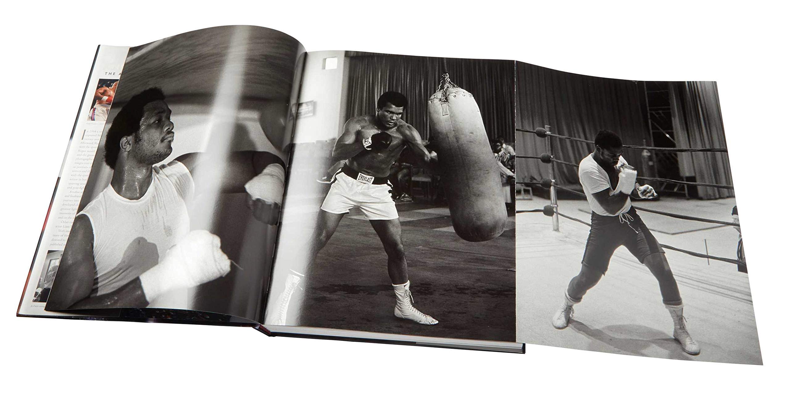 Knockout: The Art of Boxing