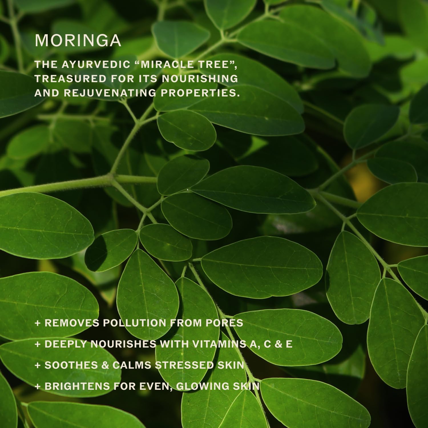 Sahajan Essential Balance Toner with Vitamin C + AHA's | Ayurvedic Clean Gentle Daily Glow Facial Toner | Exfoliates, Refines Texture, Balances, Hydrates | 4 fl oz - Image 3