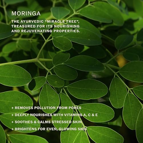 Miniatura 3 de Sahajan Essential Balance Toner con vitamina C + AHA  Tónico facial Ayurvedic Clean Gentle Daily Glow  Exfolia, refina la textura, equilibra,