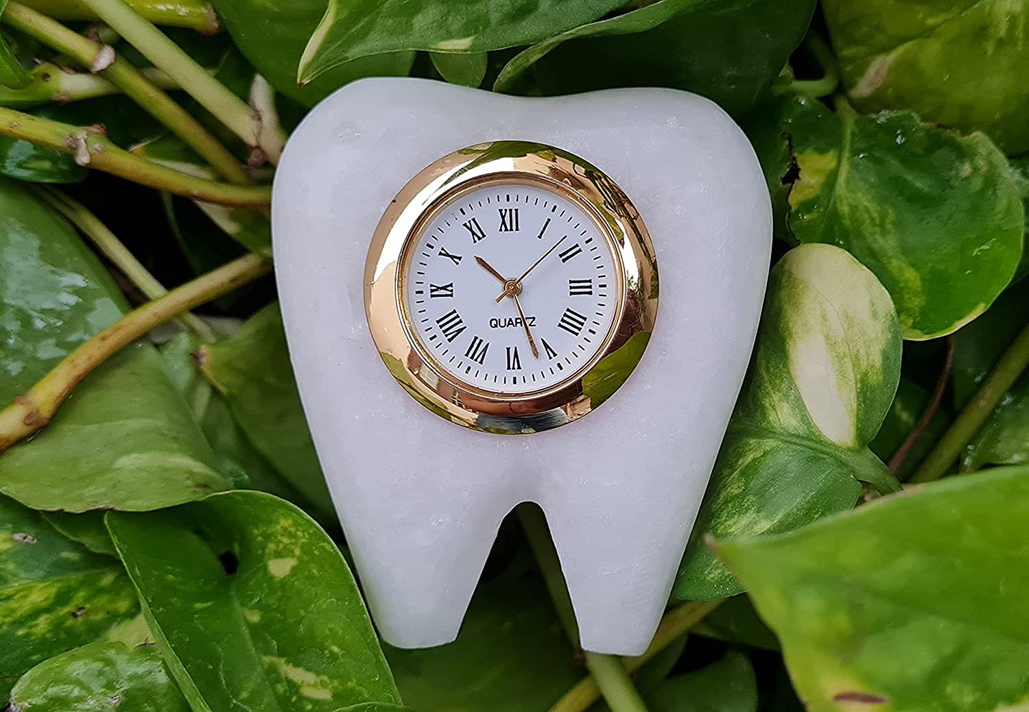 SAUDEEP INDIA Tooth Shape Dentist Desk Marbel Table Clock for Decor and Paper Weight, Ideal Gift for Dentists and Doctors (Sangemarmar Marble Tooth Clock)