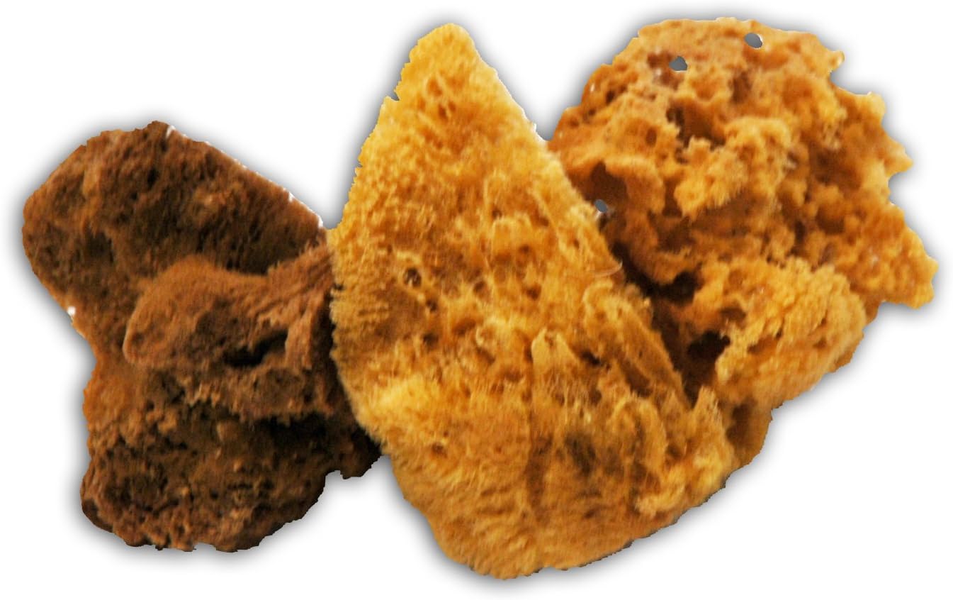 Trimaco SuperTuff Natural Grass Sea Sponge, 6-7-inches (10131)