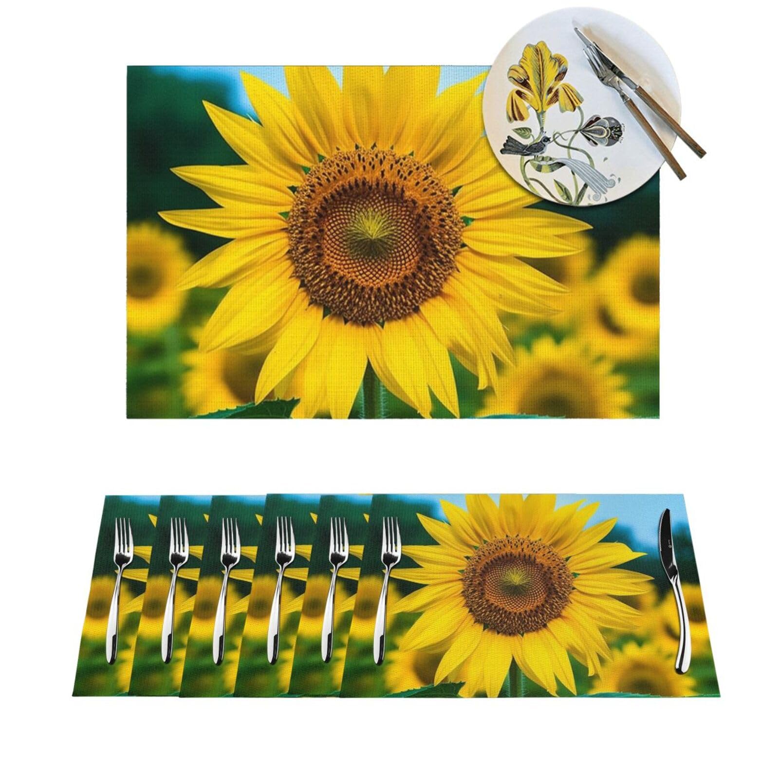 Set de table extérieur et intérieur pour repas de jardin en PVC tressé lot de 4