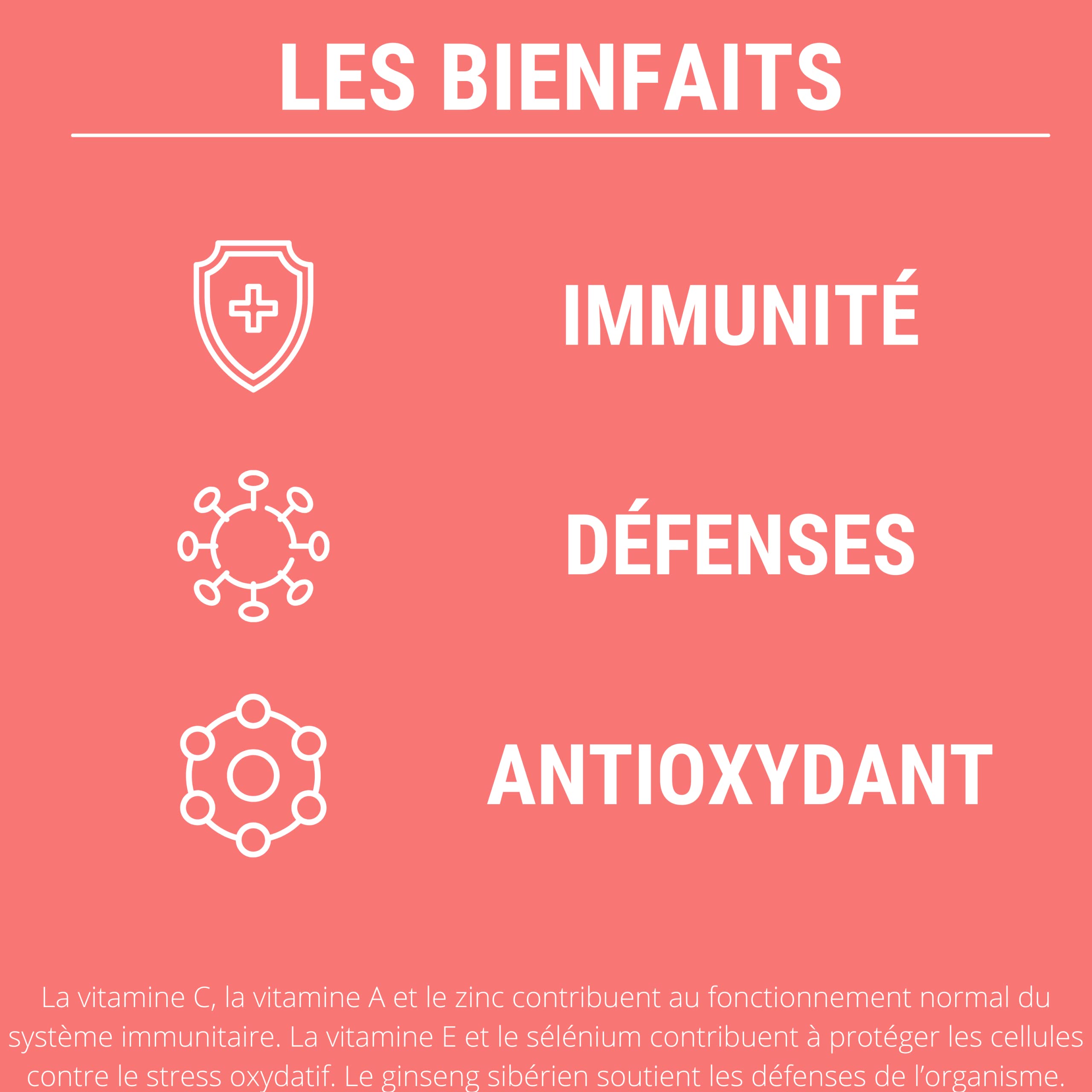 FORMULE IMMUNITE & MULTIVITAMINES | Complement Alimentaire | Vitamine c Vitamine e Vitamine a + Phyto complexe 100% naturel : Echinacée Ginseng Sibérien Acérola Zinc Sélénium | 60 gélules