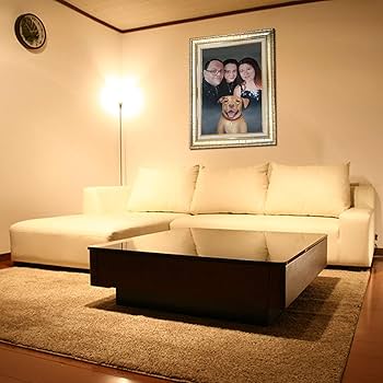 油絵5-6号ペット  肖像画、額縁つき、写真送って下さい 71KoPdoCz1L._UF350,350_QL80_.jpg