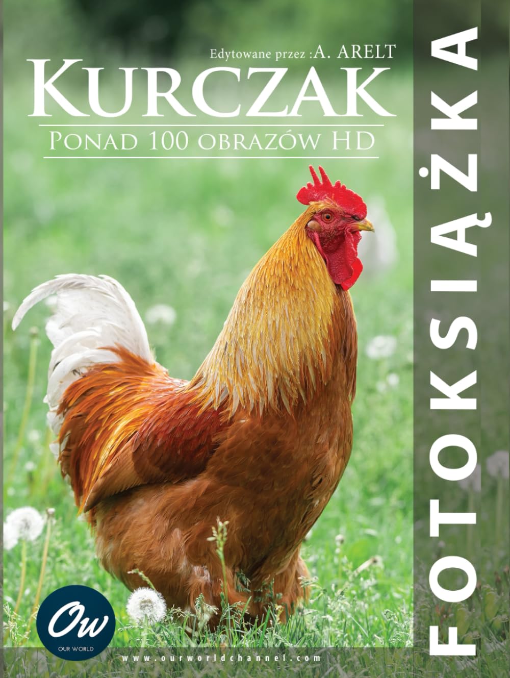 Livre photo Kurczak parfait pour décorer votre salon et partager vos souvenirs