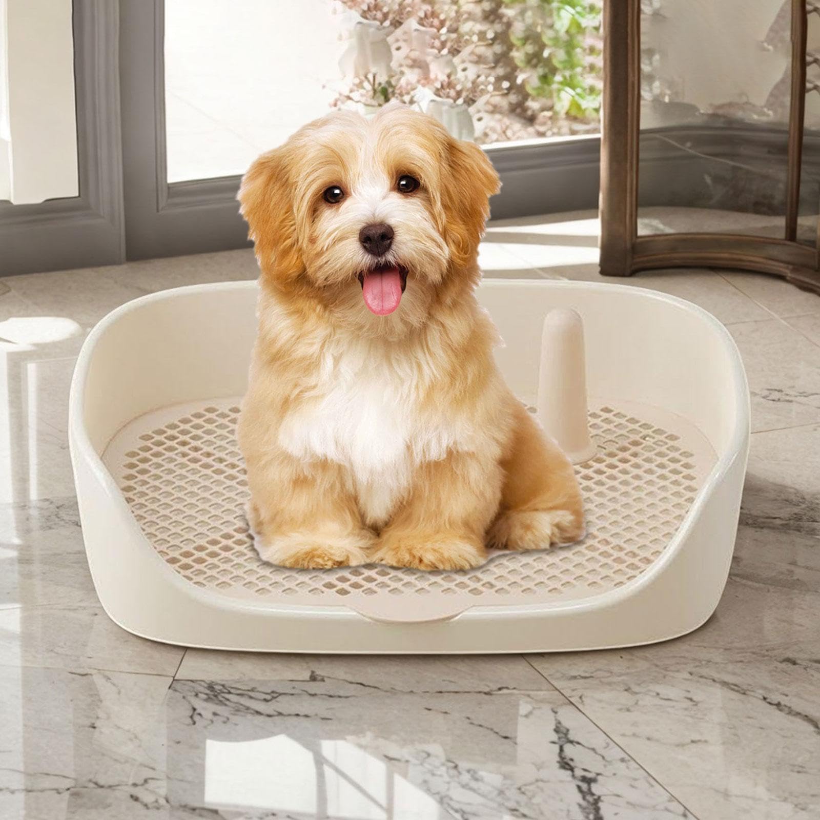 F Fityle Toilette per Cani Vasino da addestramento Tappetino per addestramento Toilette Porta pipì Pad Appartamento Gabinetto Forniture per Animali Domestici, Beige 48x37x13cm