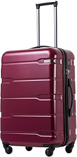 Luggage PC+ABS Hardshell Suitcase with TSA Lock, Spinner Checked Lightweight (Radiant Pink, 24in)