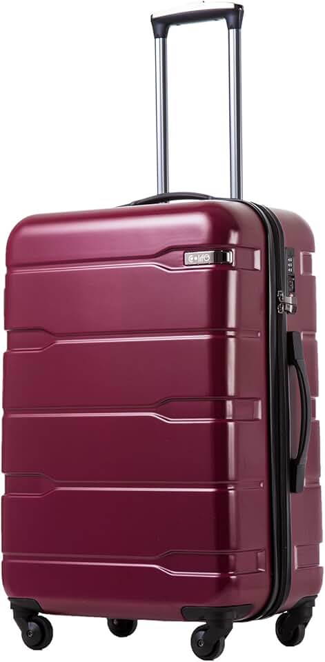 rimowa classic large