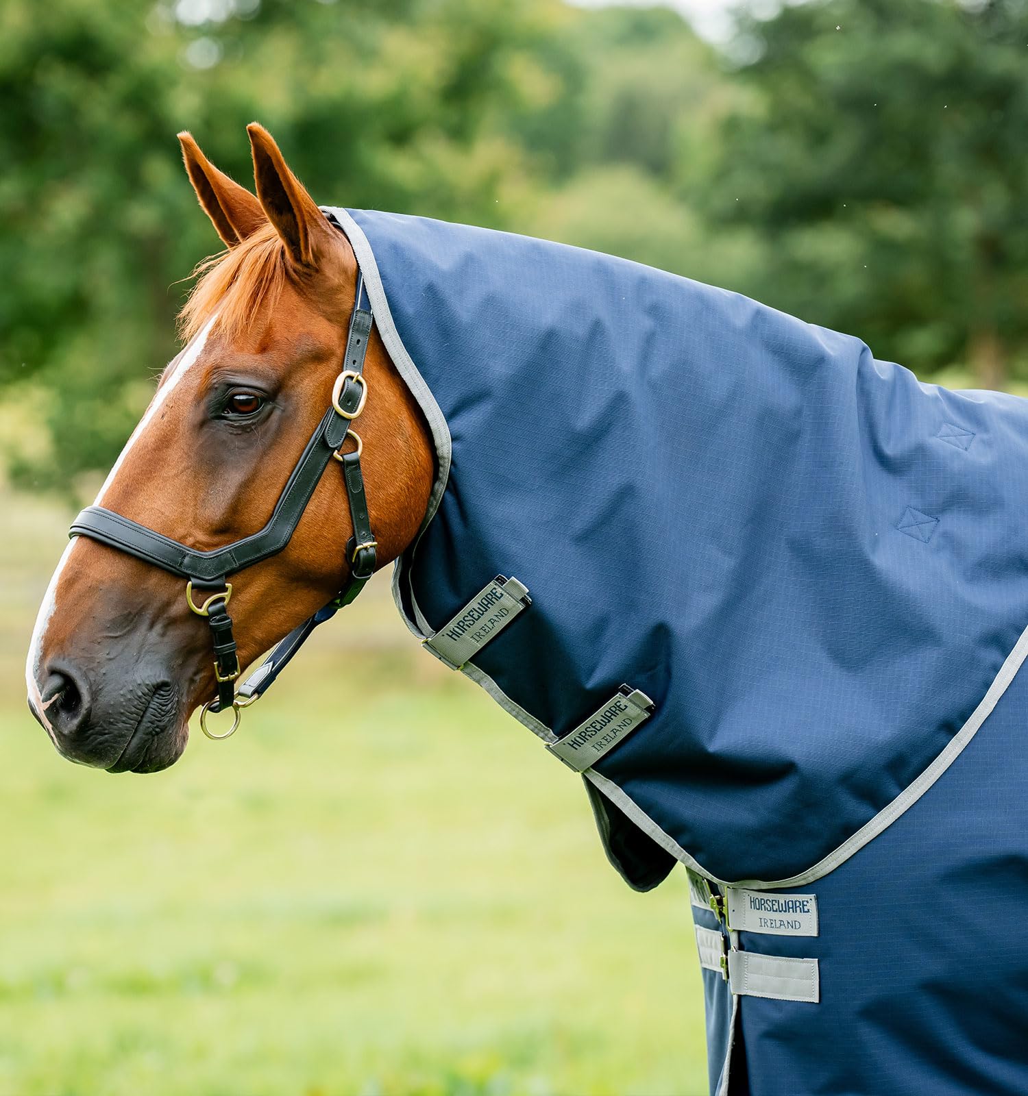 Horseware Deckengröße: 140 cm