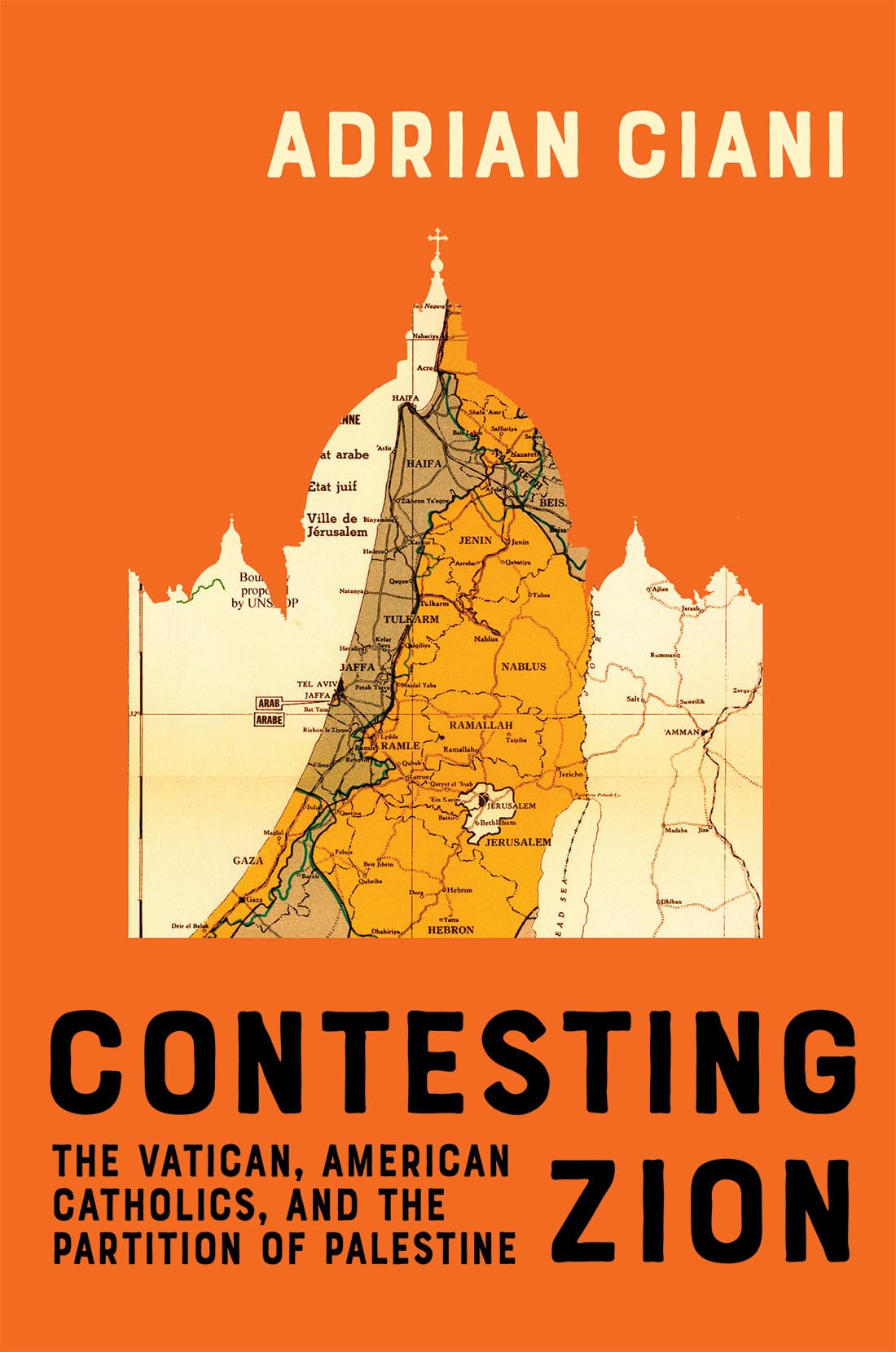 Contesting Zion: The Vatican, American Catholics, and the Partition of Palestine (McGill-Queen's Studies in the History of Religion)