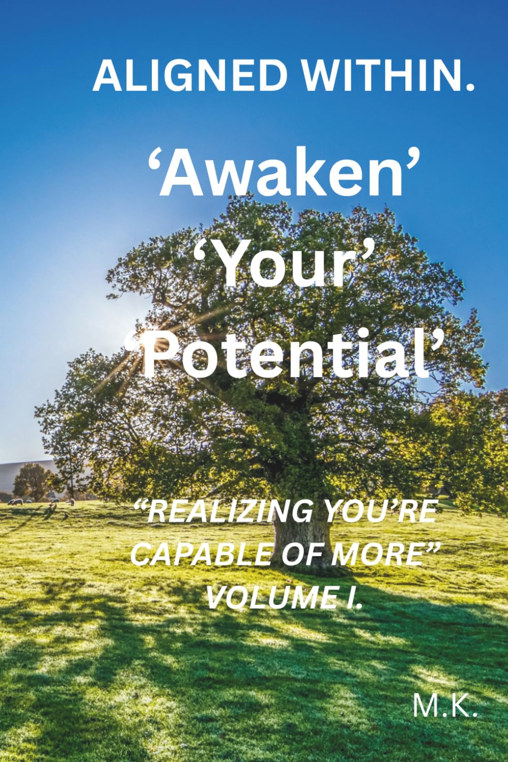 Aligned Within: Awaken Your Potential: Realizing You’re Capable of More