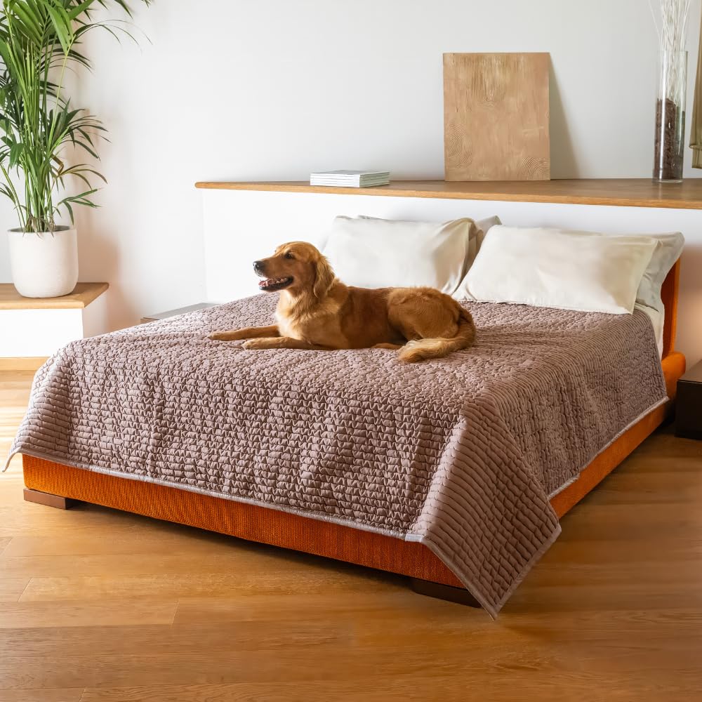 PAULATO BY GA.I.CO. Waterproof Dog Bed Blankets King Size - Soft Noiseless Hypoallergenic Machine Washable Cover