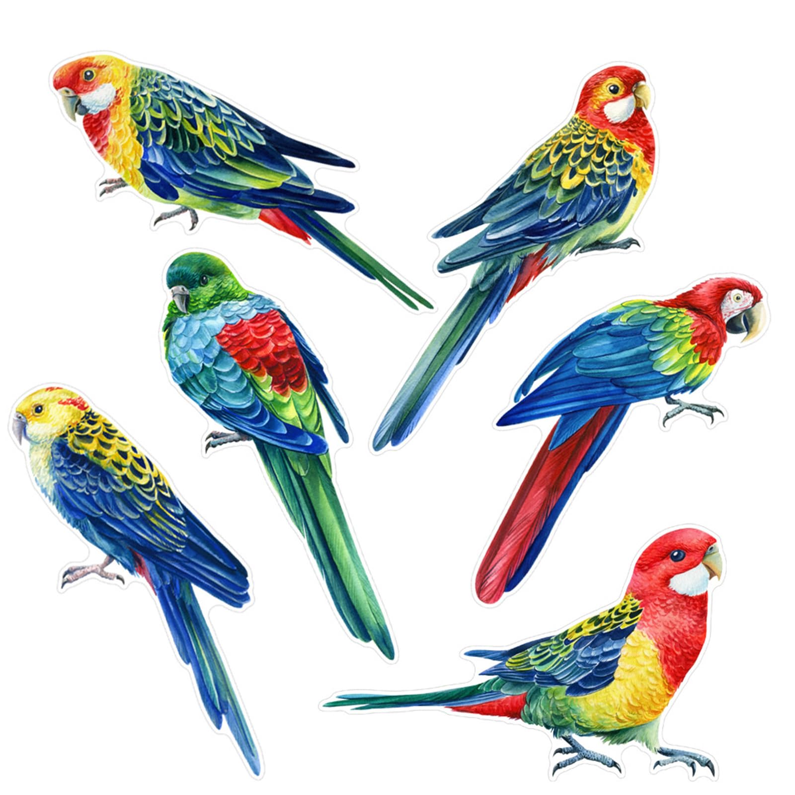 Lerpwige Bird Accidents With Easily Apply Window Decals And Beauty AntiCollision Cling For Glass Protectors Transformative Window