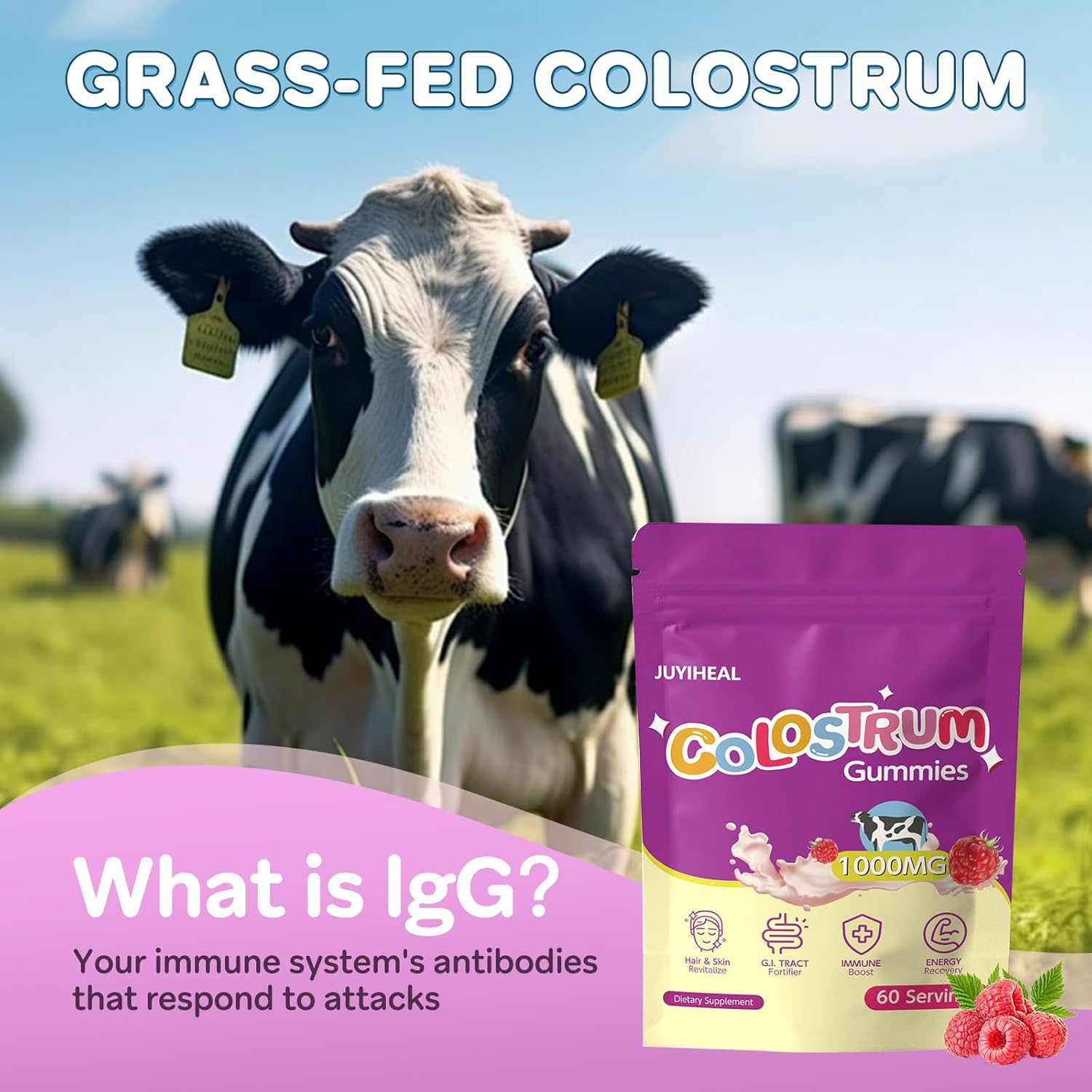 Colostrum Gummies, 1000 mg Grass Fed Colostrum Chews Colostrum Supplement for Gut Health, Hair Growth, Beauty, and Immune Support, Raspberry Flavor 60 Servings