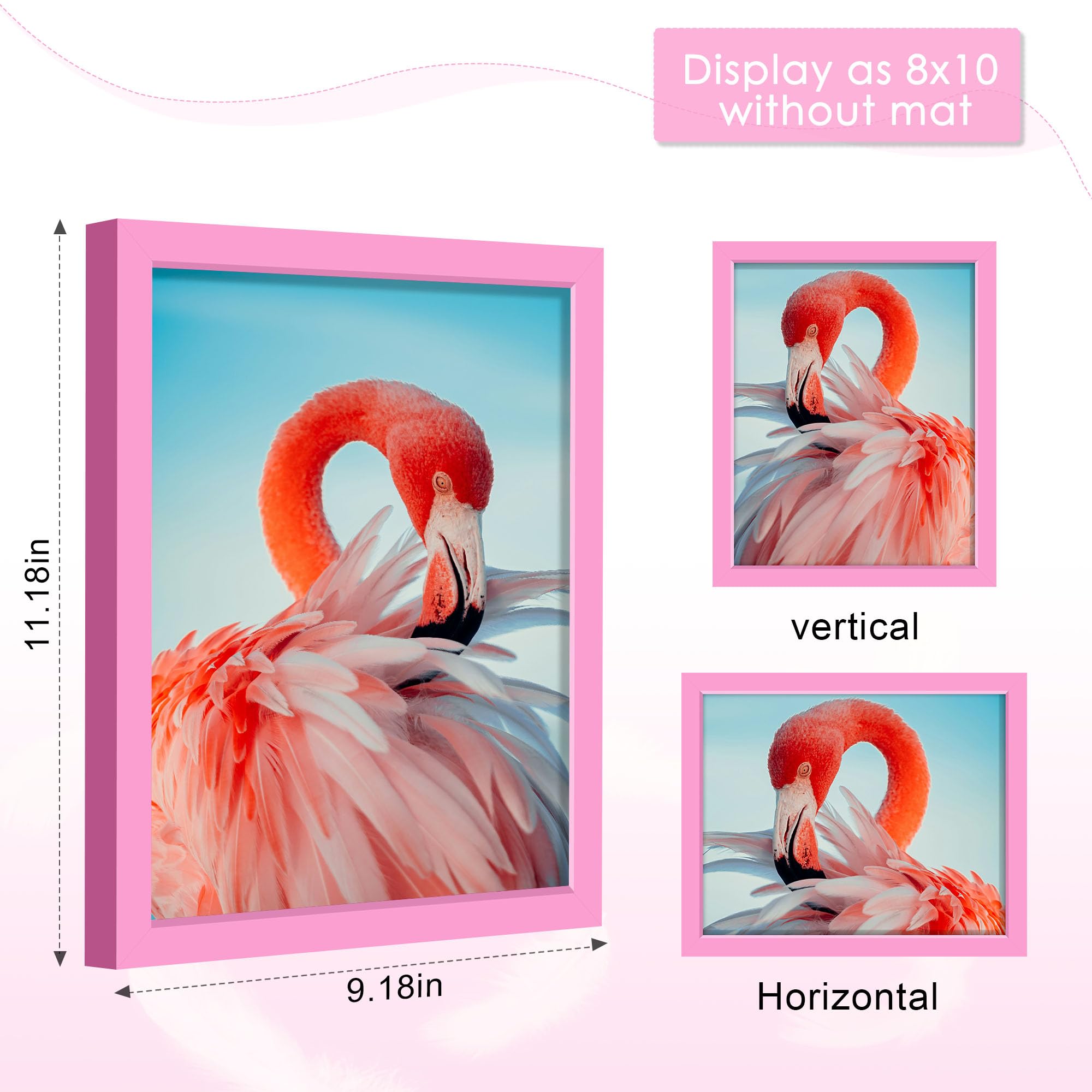Amazon.com - Fisnish 8x10 Picture Frame, for Tabletop Display