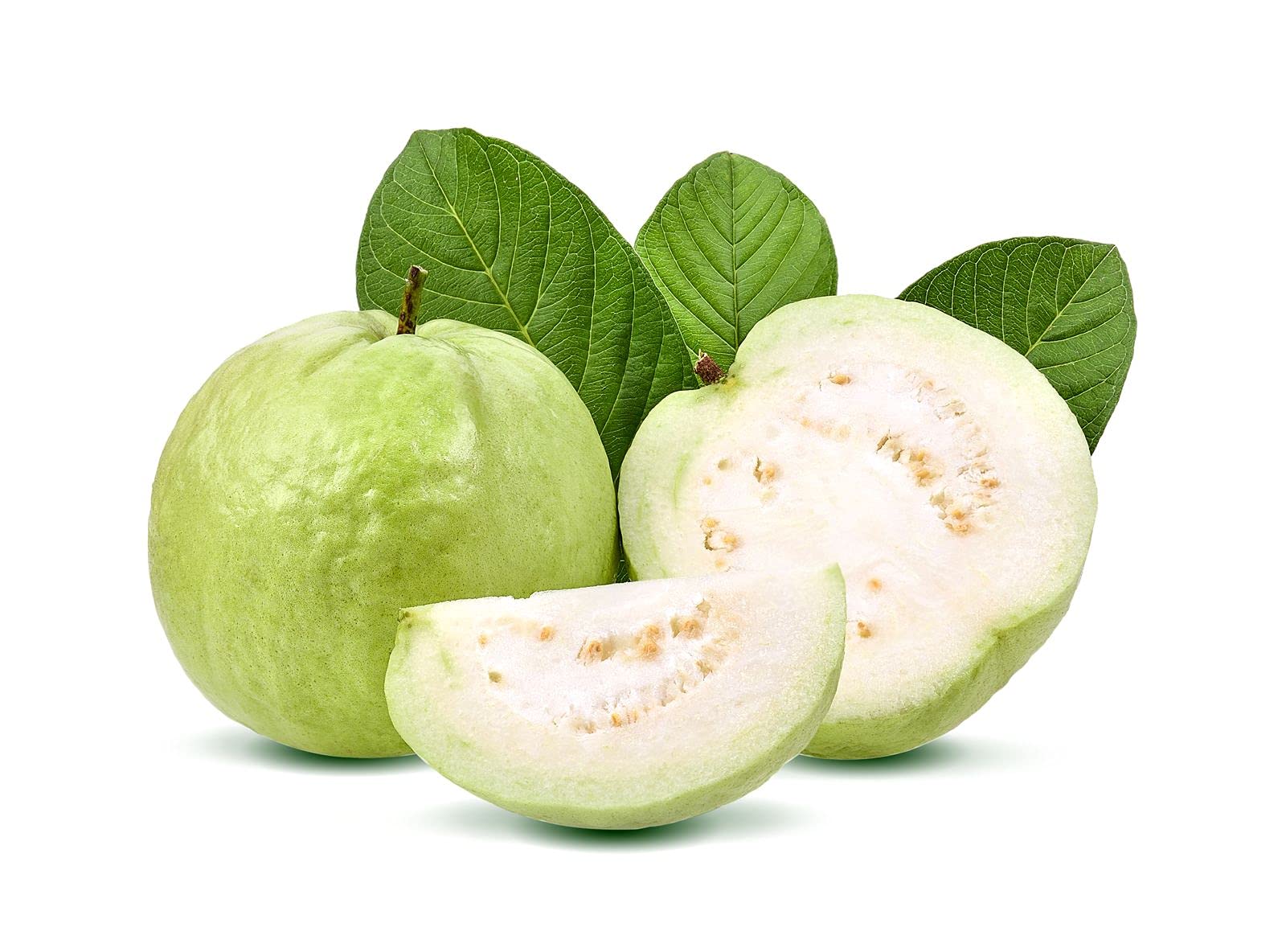 M-Tech Gardens New Rare Hybrid Guava " Taiwan White " Exotic 40 Fruit Seeds for Growing