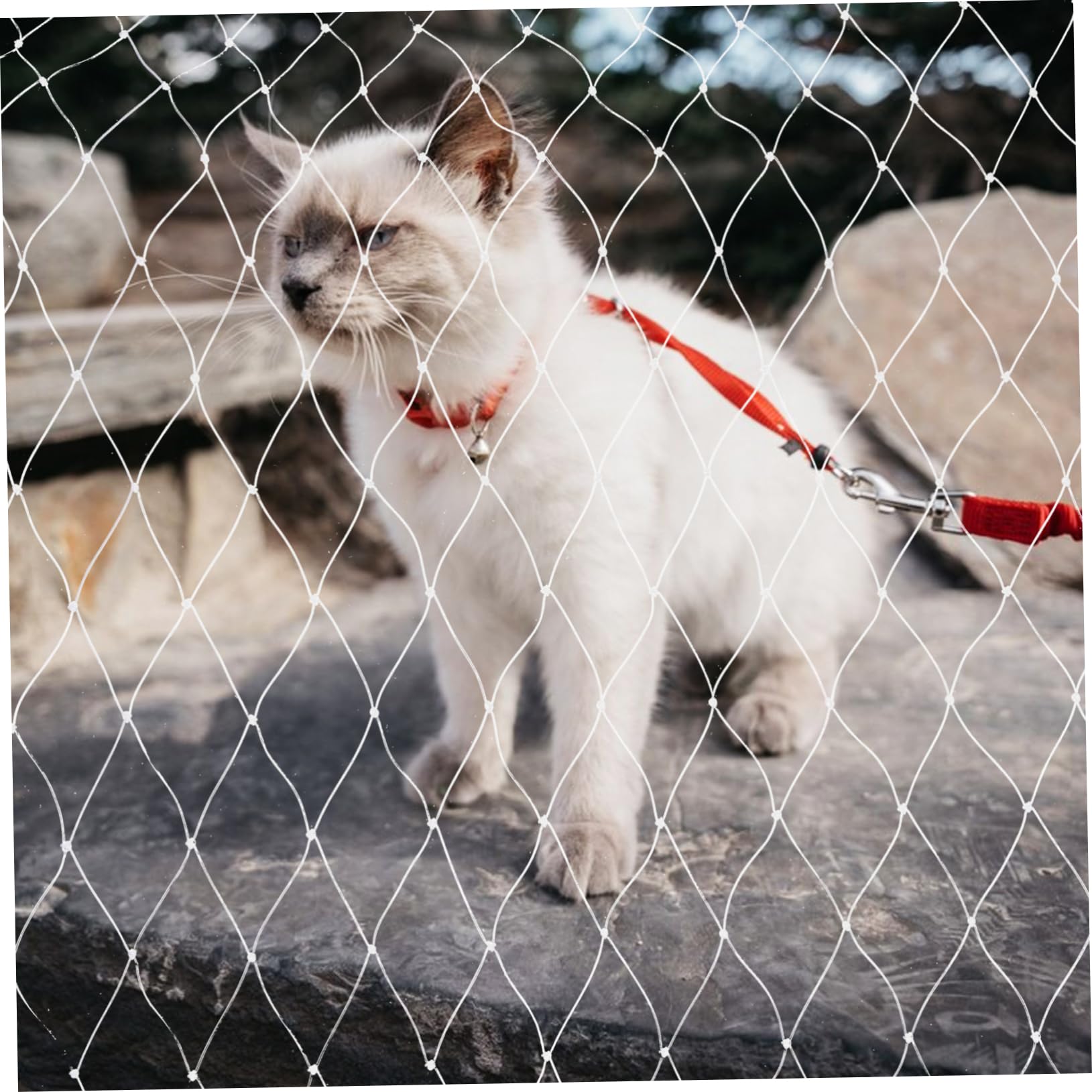 FRCOLOR Katzenschutznetz und Balkon Katze Netz ohne Bohren Nylon Zuschneidbar für Fenster Treppe