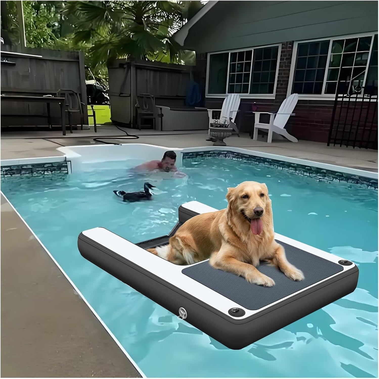 Reusable Dog Pool Ramp Small, Collapsible Float Dog Water Ramp 150cm, Load 105kg, PVC Inflatable Pet Dock Platform Waterproof with Pump/Rope/Repair Kit, EVA Pad(Black)