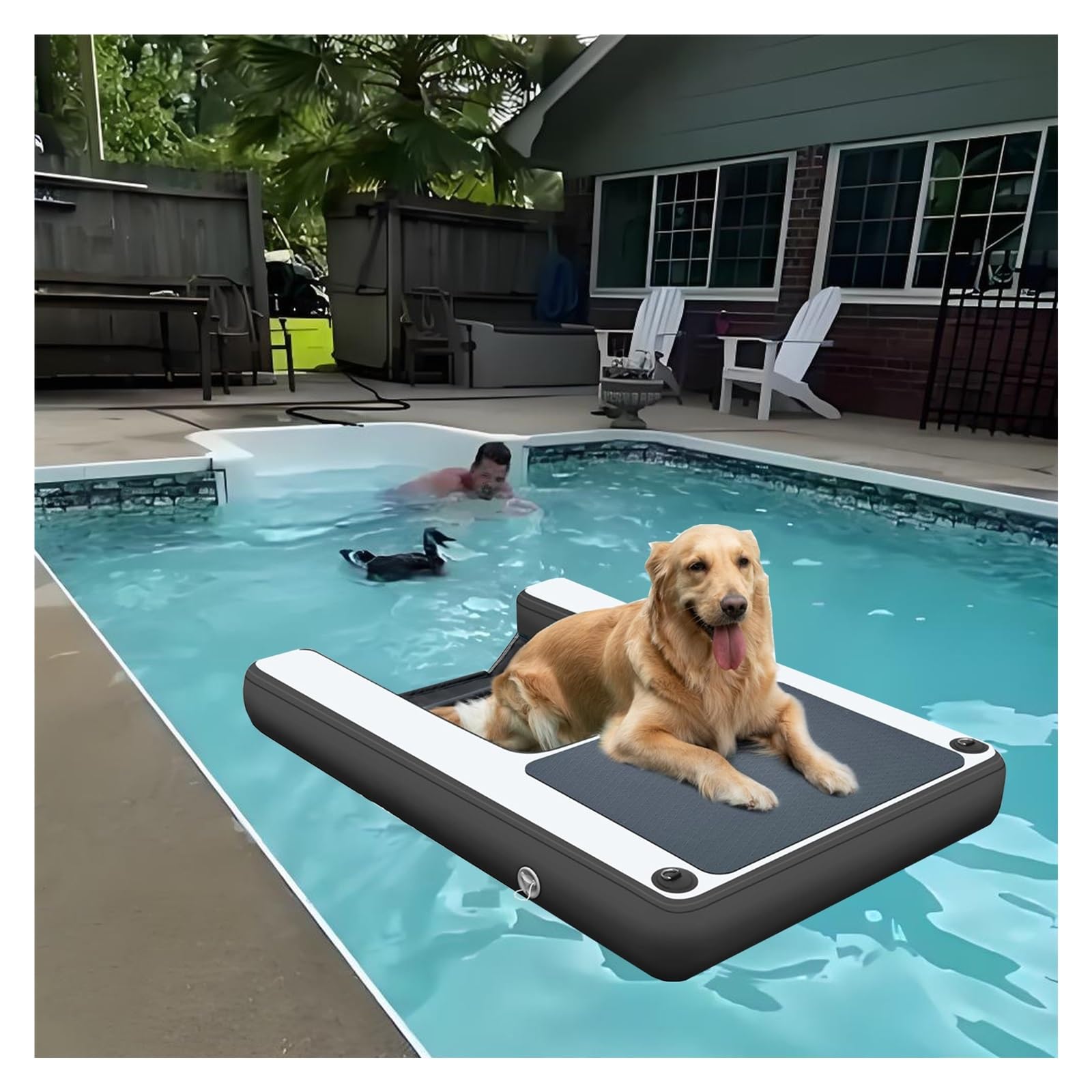 Reusable Dog Pool Ramp Small, Collapsible Float Dog Water Ramp 150cm, Load 105kg, PVC Inflatable Pet Dock Platform Waterproof with Pump/Rope/Repair Kit, EVA Pad(Black)