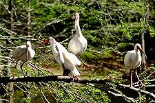 Review Image by Christopher Christopher