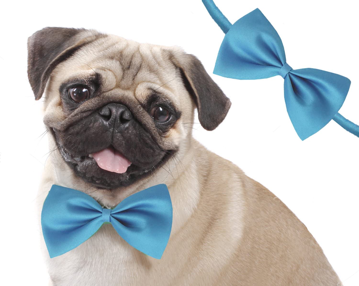 Dog Trust Jumbo Size Adjustable Fashion Party, Function, Weeding Cum Formal Costume Neck Bow Tie Cum Necktie for Dog/Puppy/Cat/Kitten (Orange) (B0BWRXZM91) Amazon Price History, Amazon Price Tracker