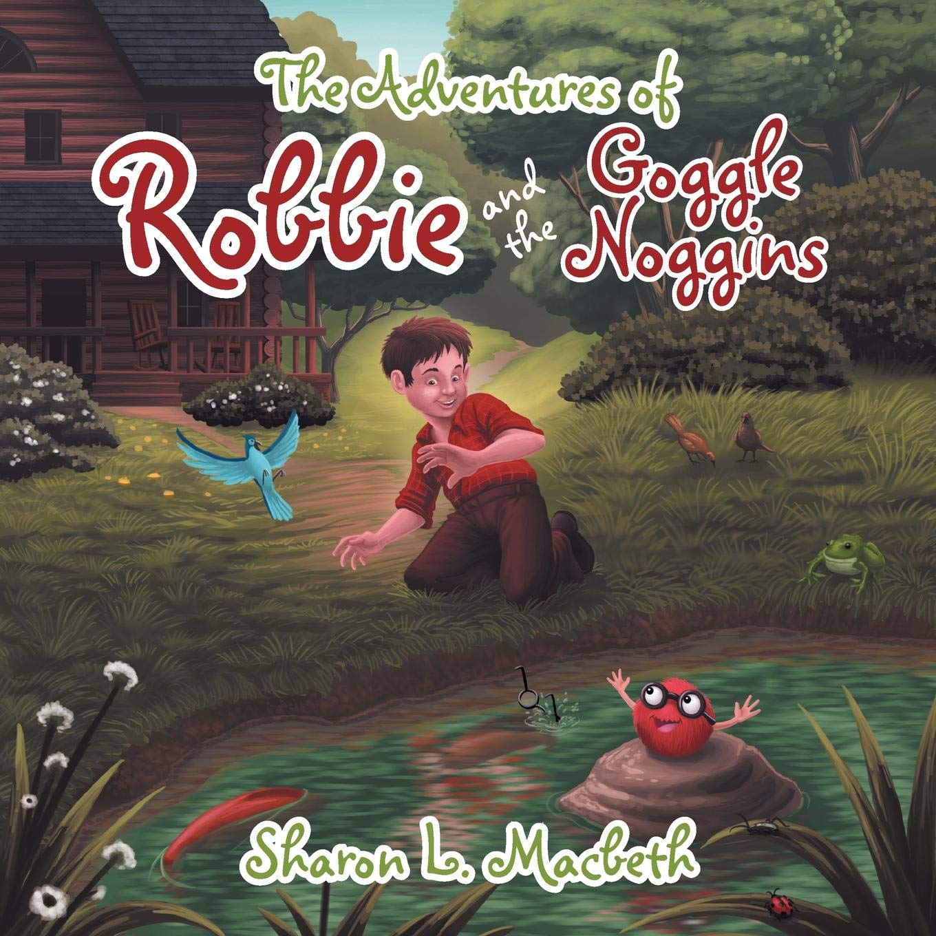 The Adventures of Robbie and the Goggle Noggins
