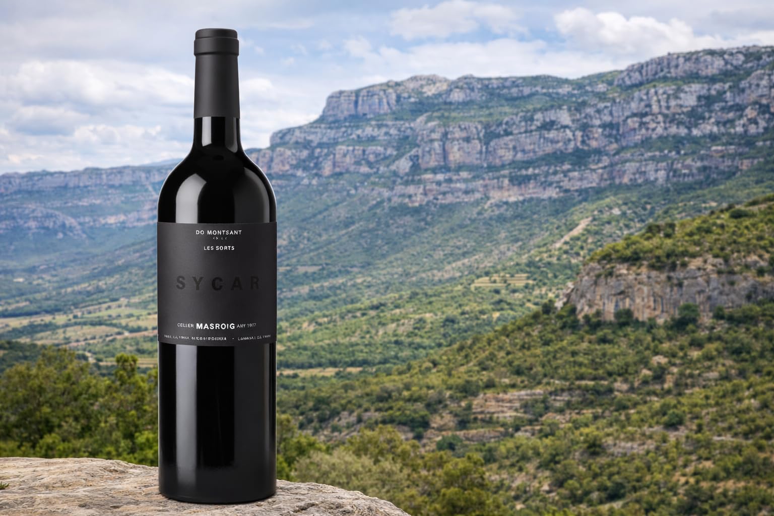 Masroig Sycar Tinto DO Montsant – Pack 6 Botellas (75cl) – Syrah & Cariñena – 13 Meses Barrica – Vino Tinto Premium Catalán