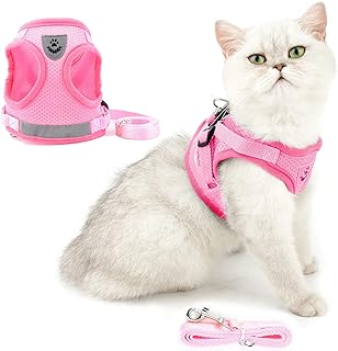 Ranphy Cat Harness and Leash Set Escape Proof Refletive Adjustable Small Dog Step in Harness No Pull No Choke Soft Mesh Padded Walking Jacket (S(Chest:13.5