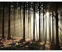 Vista 16 de artgeist Mural de Pared Forestal 154x122 pulg - Adhesivo de Pared Autoadhesivo para Despegar y Pegar, Adhesivo de Pared, Adhesivo de Foto