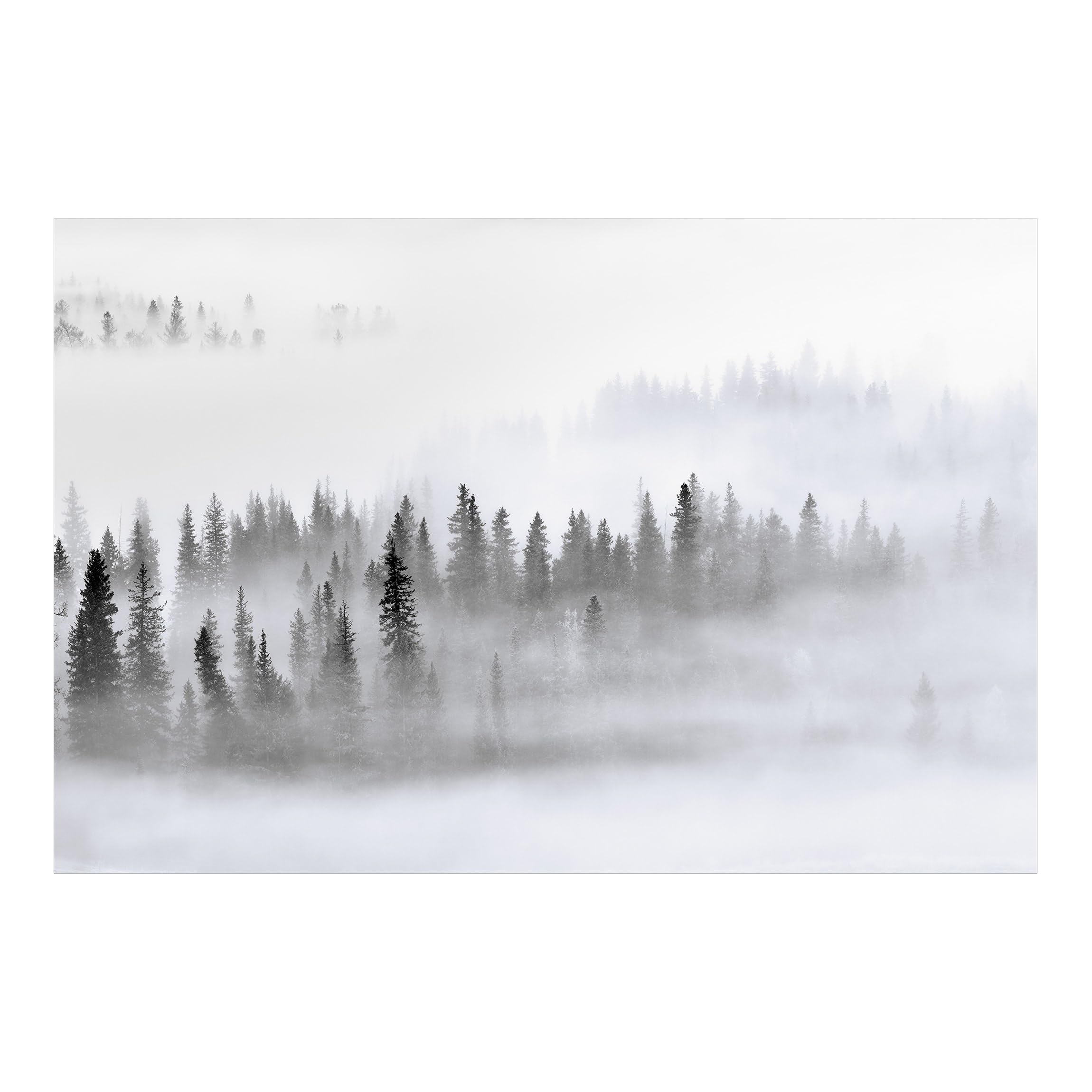 Papier peint panoramique salon pour créer une ambiance forêt naturelle