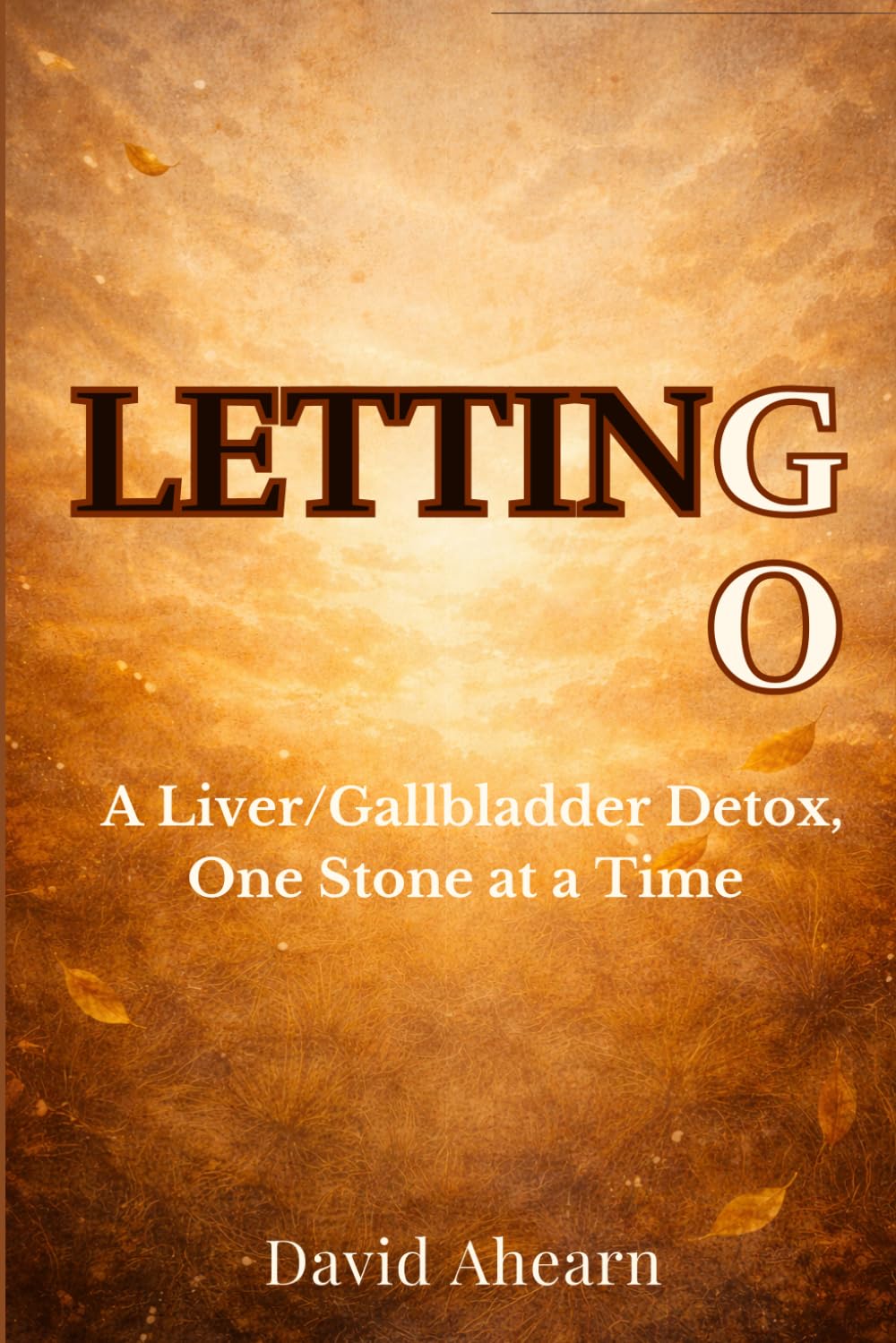 Letting Go:: A Liver/Gallbladder Detox, One Stone at a Time