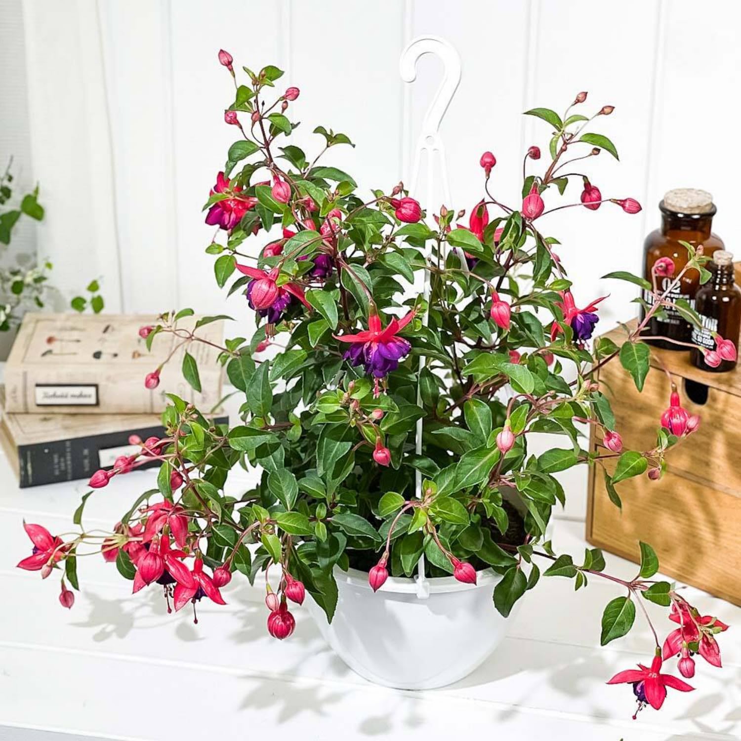 ground planter boxes 18" x 60" Planter Box