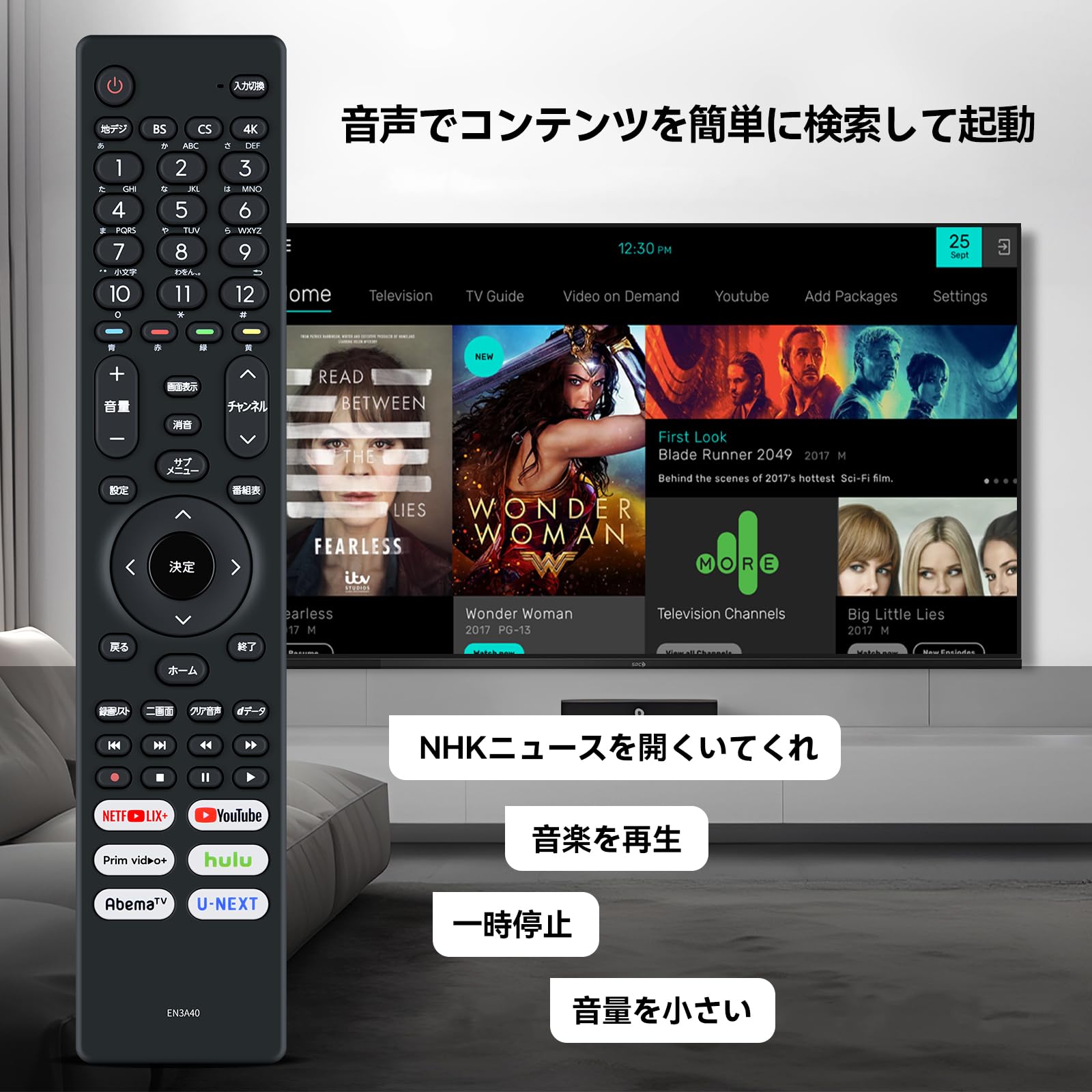 Amazon | AVTVA EN3A40 交換用リモコン for Hisense ハイセンス 75U8F