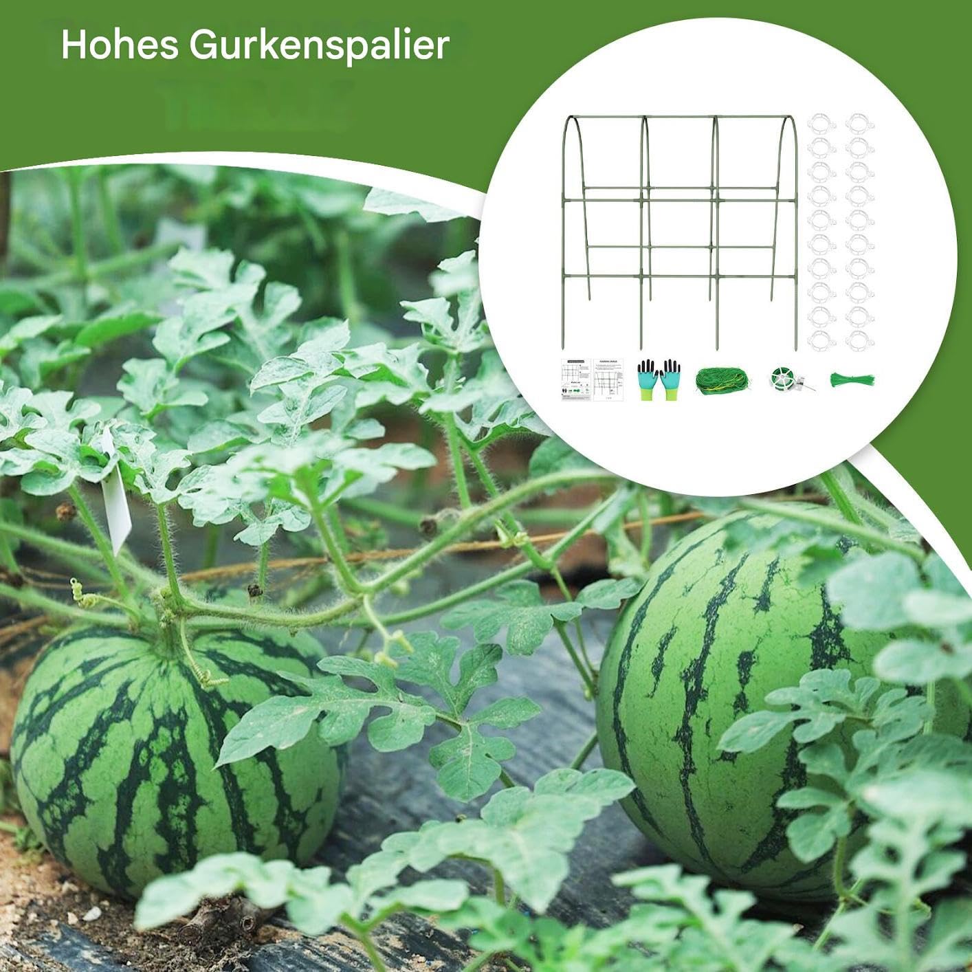 Pflanzenstütze aus Metall für Gurken, Trauben, Auberginen, Erbsen & S - Stabile Kalbs-Gartenstruktur für Hochbeete & Kletterpflanzen