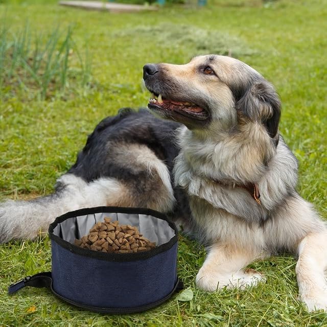 Foto 7 de 8 de Cuenco plegable para perro, 1.5 L con cremallera para mascotas