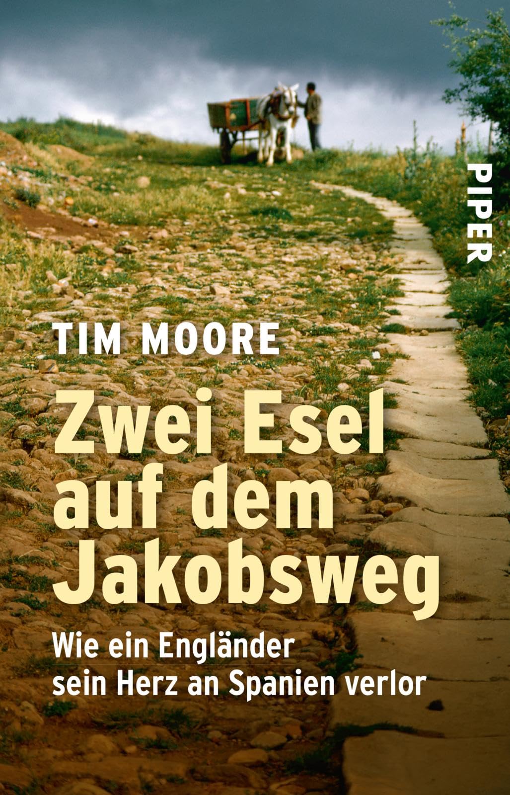 Zwei Esel auf dem Jakobsweg: Wie EIN Engländer Sein Herz an Spanien verlor