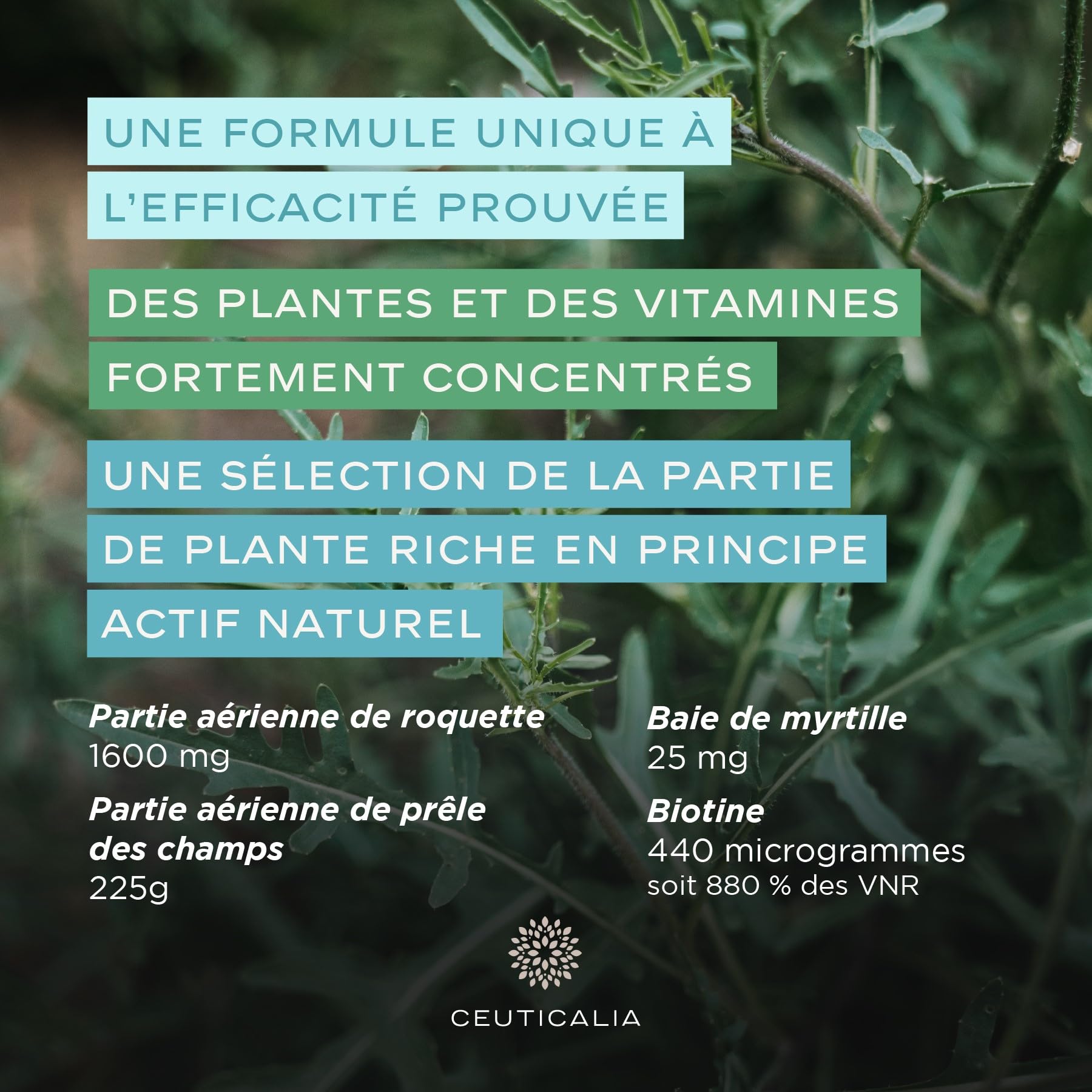Complément Alimentaire Cheveux - Pousse, Anti Chute, Repousse, Croissance, Brillance, Fortification - Homme, Femme - Biotine, Vitamines, Zinc, Roquette, Myrtille, Prêle - 180 Gélules, 90 Jours